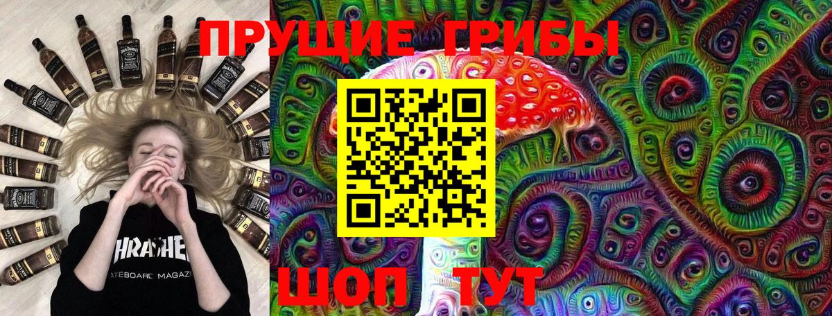 Псилоцибиновые грибы прущие грибы Севастополь